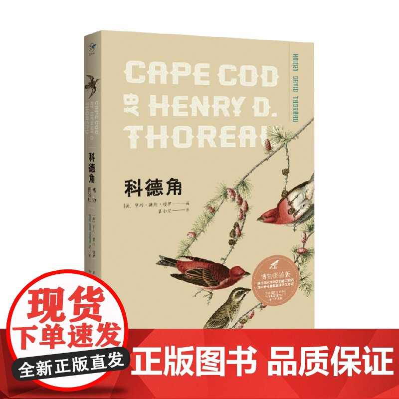 科德角 博物图鉴版 梭罗 著 科普读物高清大图