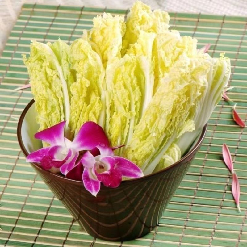 山东娃娃菜 2包6颗装 约2.4斤 小娃娃菜包心菜 火锅菜新高山娃娃菜