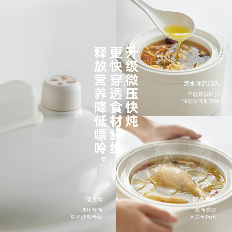 OLAYKS电炖锅2.5L恒温加热可预约OLK-DDG25A高清大图