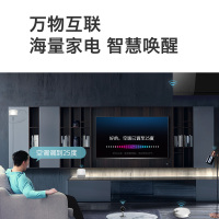 创维（SKYWORTH）43H5 43英寸 全面屏护眼防蓝光 4K超高清智能液晶平板电视机 蓝牙网络WIFI 100+