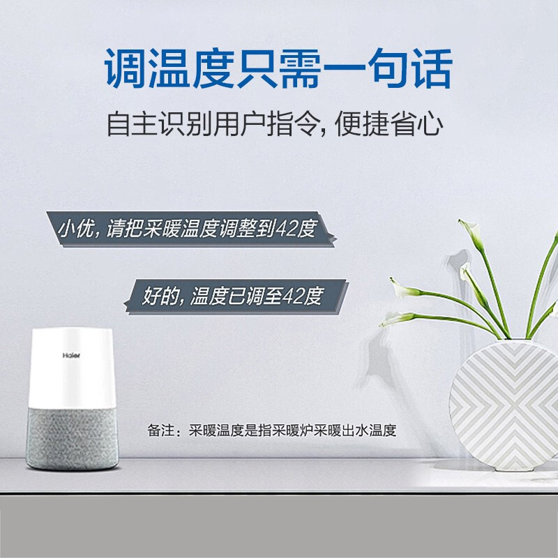 海尔(Haier)燃气热水器壁挂炉家用天然气APP智控采暖炉26kw洗浴采暖套管式地暖暖气片L1PB26-HS(T)U1