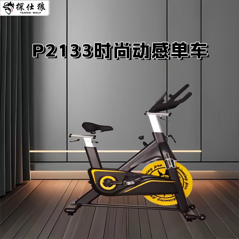 探仕狼 动感单车室内家用磁控健身车静音运动自行车P2133
