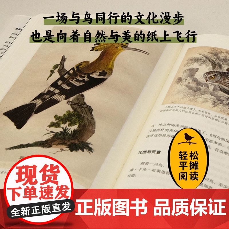 鸟类启示录:一部文化史 博里亚萨克斯著上海教育出版社博物学自然历史读物描摹人鸟之间神秘精神亲密关系高清大图