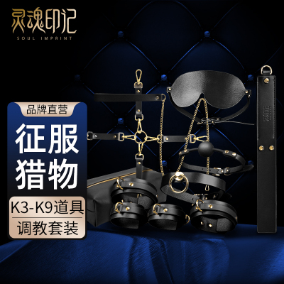灵魂印记sm性用品调情趣用品成人情趣玩具房趣调教套装工具道具