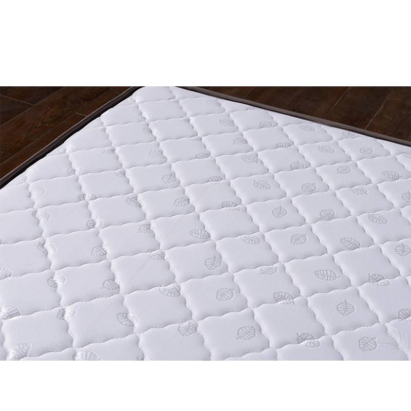 合祥源 棉布床垫CG-CD16 1200*2000*100mm/块高清大图