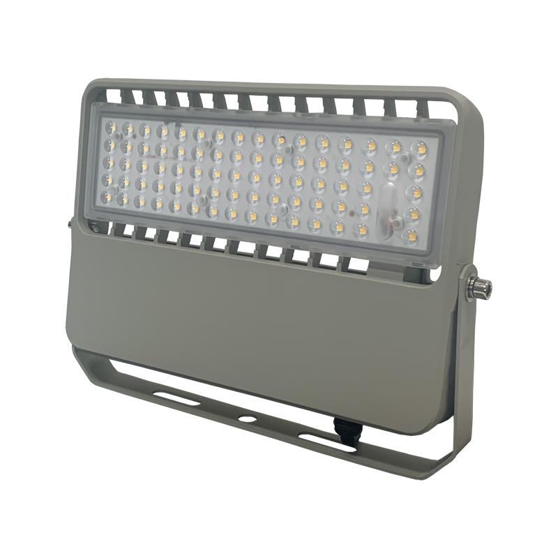 领航电器(LHDQ) LHE2365/G LED应急投光灯 30W 冷光 220V 应急时间120min IP65