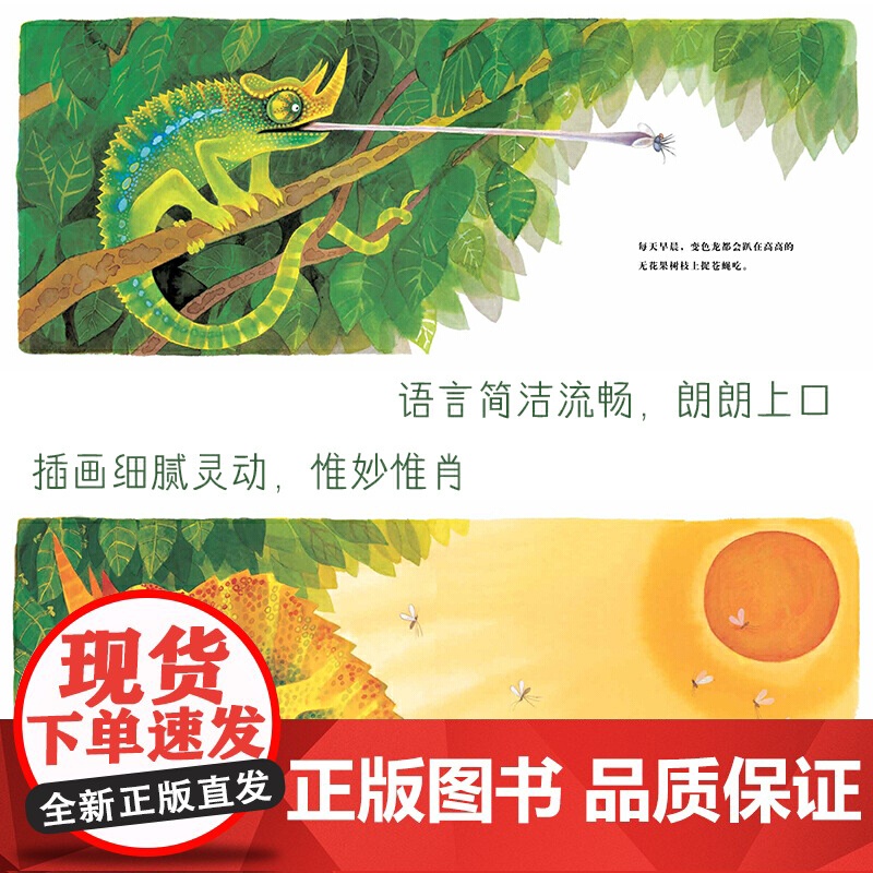 聪明的变色龙高清大图