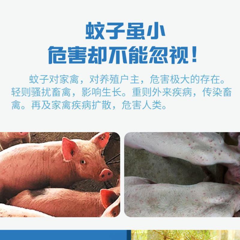 50盘特大盘蚊香兽用畜牧蚊香灭蚊兽用猪牛羊圈蚊香养殖场孕畜可用 1盒