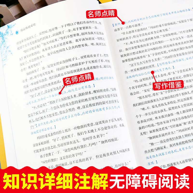 绿山墙的安妮 304页 [正版]爱德教育青少版经典名著书库 绿山墙的安妮 全译本中小学生三-六年级阅读课外书3456年级高清大图