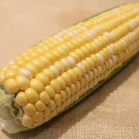 水果玉米5斤 7-9个 甜玉米 新鲜蔬菜 产发QQ