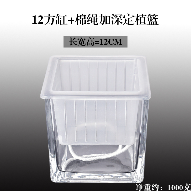 水培器皿创意玻璃花盆水养植物瓶透明花器绿萝白掌花瓶正方形容器