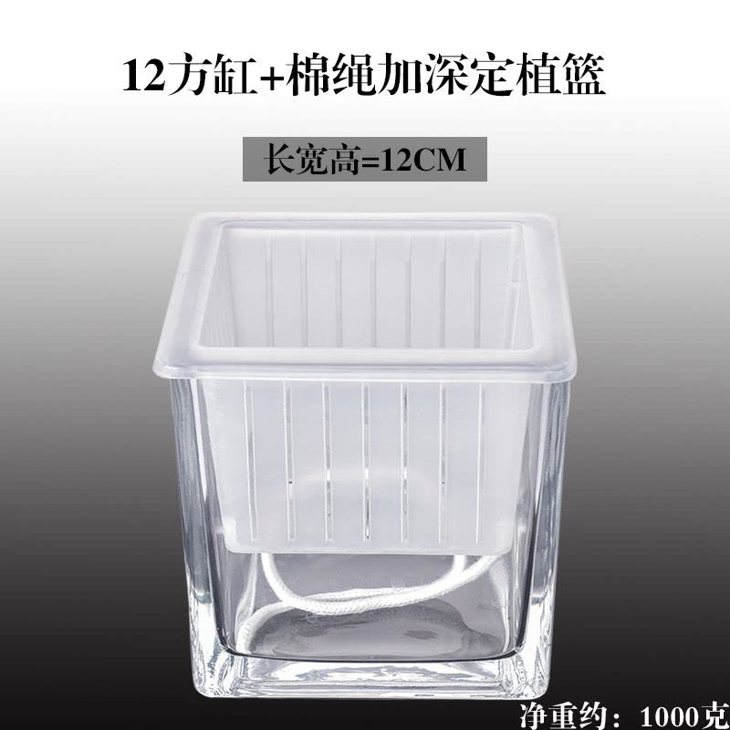 水培器皿创意玻璃花盆水养植物瓶透明花器绿萝白掌花瓶正方形容器图片