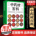 正版 中药材百科书籍大全 中医入门基本知识 医学知识普及读本 中医基础理论 图解中药材大全图谱 彩图处调理中医养生书籍基