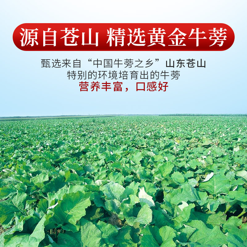 庄民 黄金牛蒡茶500g 牛蒡根 片片精选好货 正品牛蒡苍山年货礼盒套装配礼品袋250g*2罐高清大图
