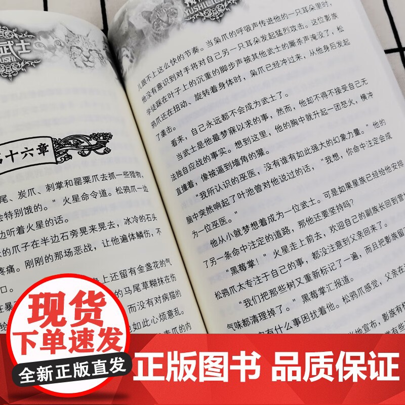 猫武士第一二三四五六七部曲全套42册传奇的猫族奇幻世界儿童奇幻成长中小学生动物小说6-12岁小学生课外阅读书1-2-3-高清大图