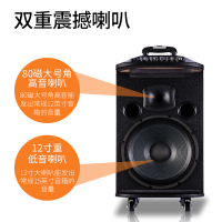 山水(SANSUI)SA3-12 广场舞音响 蓝牙拉杆音箱户外便携式音响 大功率带无线麦克风扩音器