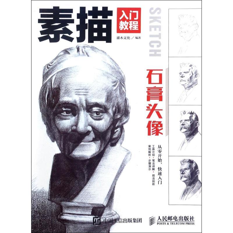 正版新书】石膏头像灌木文化9787115451019