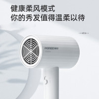 飞科博锐电吹风机家用大功率1800W吹风筒便携式吹风机冷热风发廊理发店学生PH1627