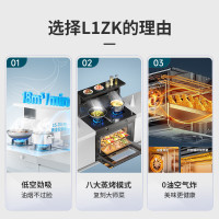 森歌(SENG)集成灶L1ZK蒸烤一体外观美 大容量厨房灶具家用蒸烤箱燃气灶 灰色天然气