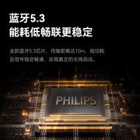 飞利浦(PHILIPS)TAS1009 蓝牙音箱迷你无线便携式笔记本桌面高音质电脑小音响手机重低音炮车载喇叭户外生日礼物