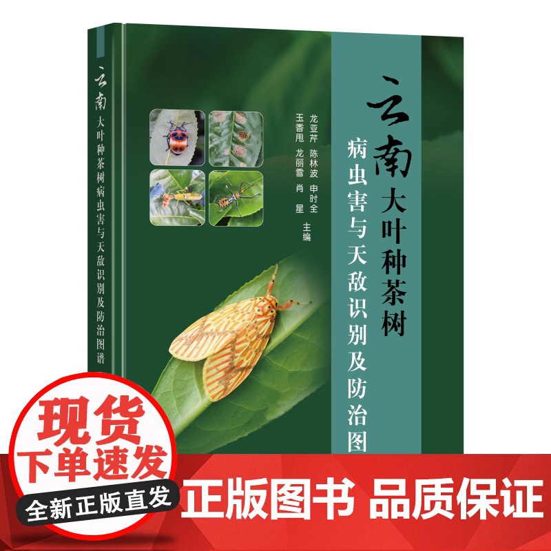 云南大叶种茶树病虫害与天敌识别及防治图谱高清大图