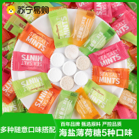 海盐薄荷糖（菠萝味+百香果味+青柠味+陈皮味+金梅味）100g（约50颗）
