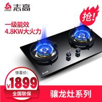 志高(CHIGO) JZY-T29(2679)双灶眼燃气灶 大火力嵌入式家用 双灶定时燃气灶 (天然气)