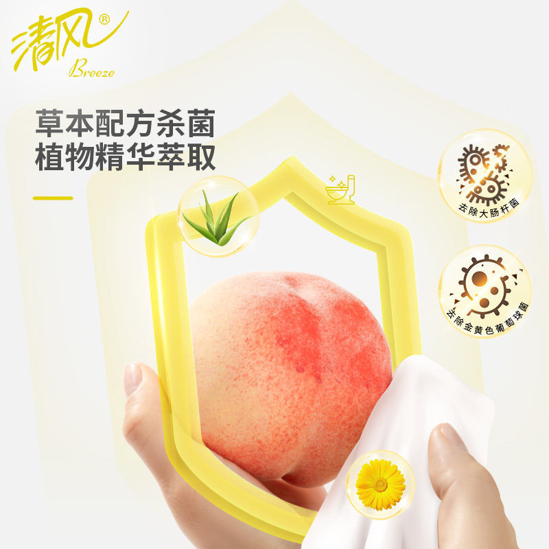 清风湿厕纸便携装小包100片10包湿厕巾擦屁股湿卫生纸高清大图