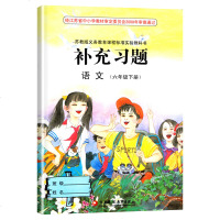 正版现货 2019春 小学语文 补充习题 六年级下册 苏教版 义务教育课程标准实验教科书 语文补充习题6年级下册 江