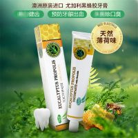 [4支装]官方授权 澳洲Spring Leaf绿芙尤加利黑蜂胶牙膏120g 薄荷味