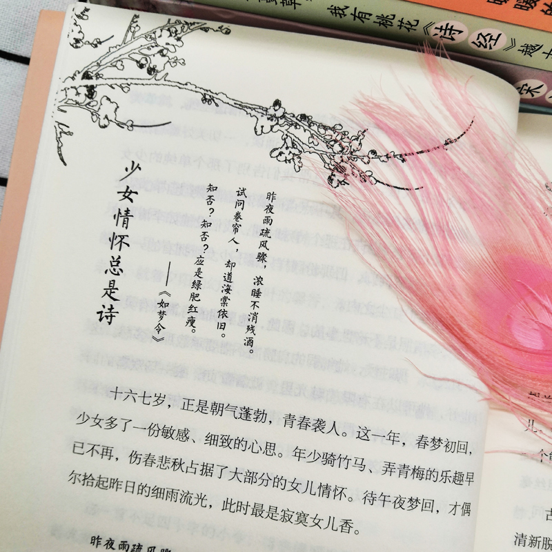 [正版]全套8册中国文学古典浪漫诗词全套 诗词李清照词传+李煜词传+纳兰容若词传+仓央嘉措唐诗宋词元曲诗经鉴赏纳兰性德高清大图