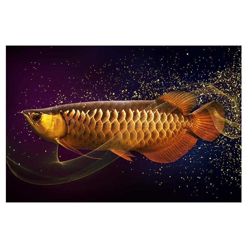 红绿蓝博艺家庭风水富贵吉祥金龙鱼餐厅装饰画客厅装饰画现代简约大气