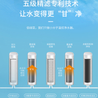 倍绿亚(Puriya)FE-FCA005 五号活性炭滤芯 PG0100净水器五级过滤芯
