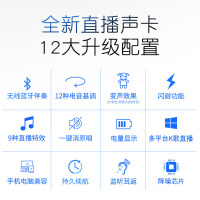 布谷鸟 手机电脑通用快手全民K歌直播声卡套装 E18标配1（含配线，不配耳机）