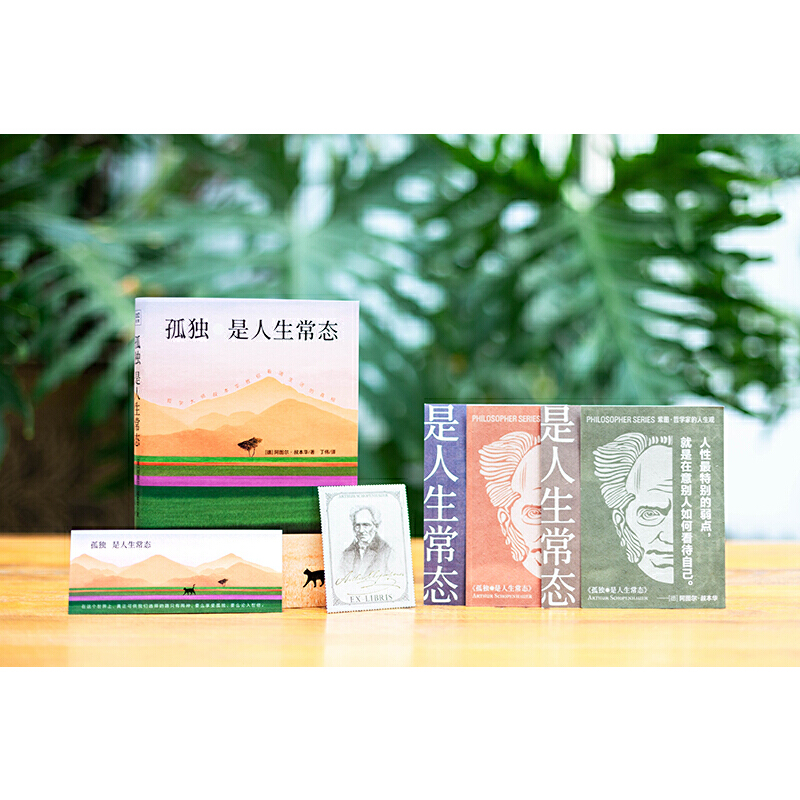 [正版]孤独是人生常态(德国著名哲学家、毒舌大师叔本华 13篇传世佳作教你看清生活的真相。)高清大图