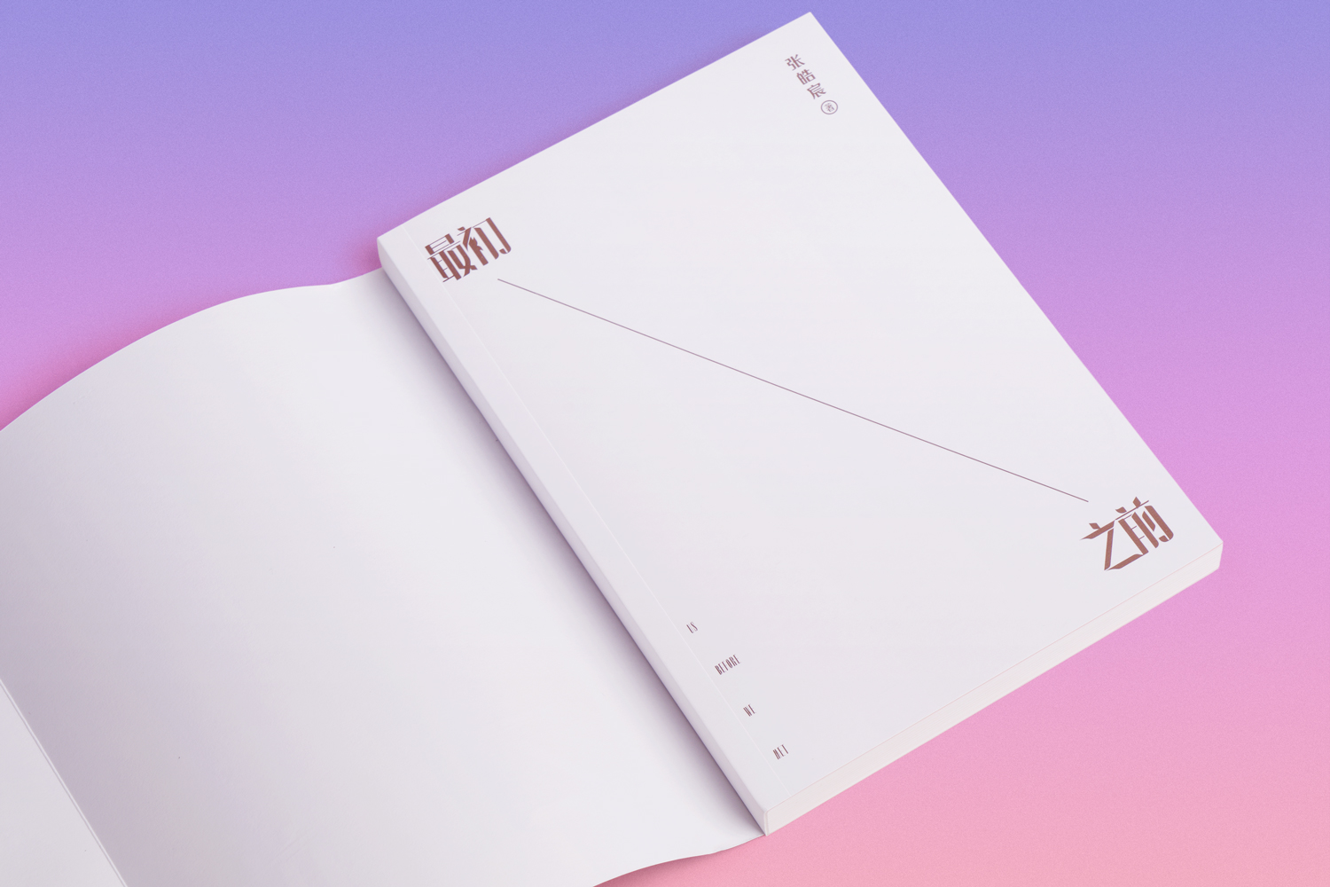 [正版]初之前 张皓宸 2019长篇小说 青春文学 爱情小说 我与世界之差一个你 果麦出品高清大图