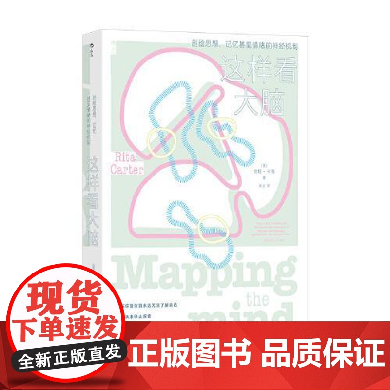 这样看大脑 海峡书局出版社高清大图