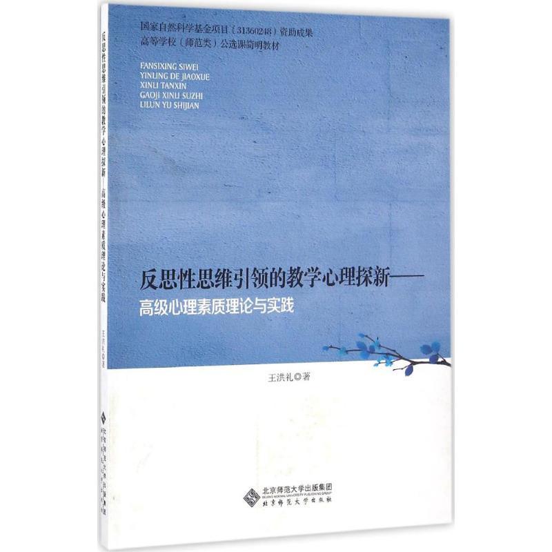 正版新书]反思性思维引领的教学心理探新王洪礼 著9787303173181高清大图