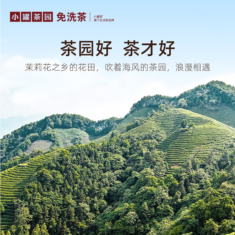 小罐茶园彩标系列广西横县伏天茉莉花茶95g罐装茶叶伴手礼 小罐茶出品.高清大图