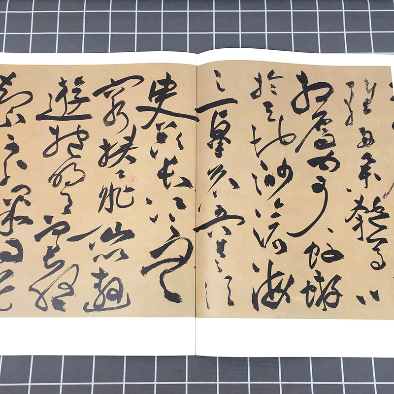 [正版]祝允明书前后赤壁赋 彩色放大本中国著名碑帖 孙宝文编 书法篆刻 书法碑帖 书法爱好者字帖 鉴赏收藏 上海辞书高清大图