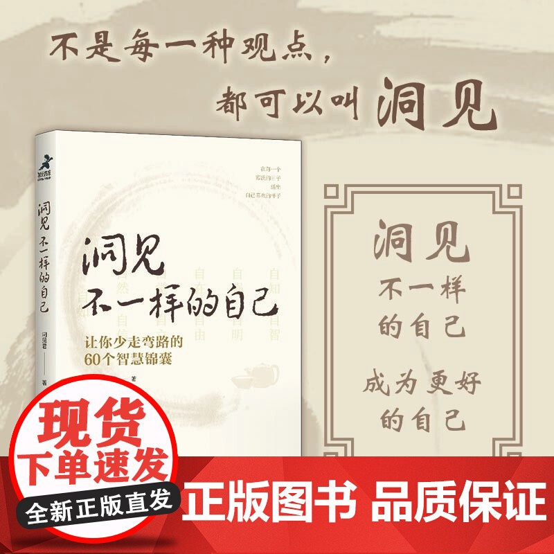 洞见不一样的自己 让你少走弯路的60个智慧锦囊 洞见君 著 成为更好的自己 励志高清大图