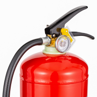 神龙 灭火器 干粉灭火器5公斤 车载家用及商用灭火器5kg MFZ/ABC5