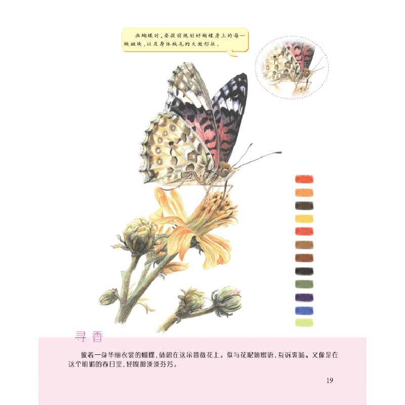 正版新书]四季:春 浪漫彩铅系列 彩色铅笔绘画从入门到精通 自高清大图