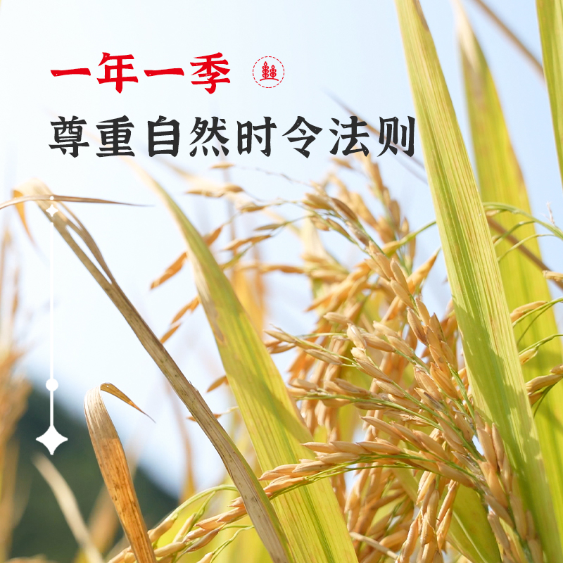 陇间柒月 六月富硒大米长粒籼米丝苗米恩施含硒大米 2.5kg 真空包装(单位:袋)高清大图