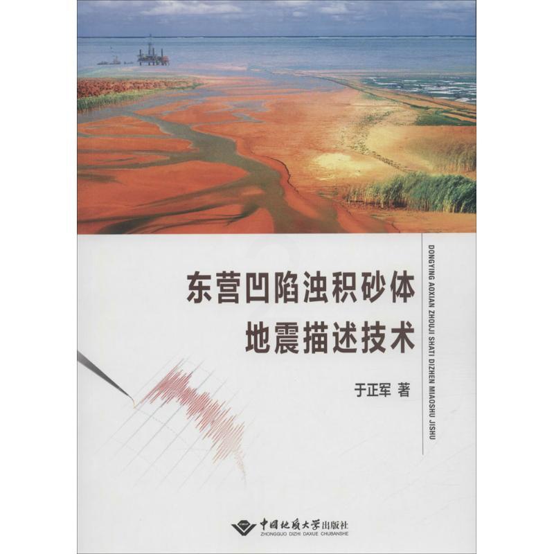[正版] 东营凹陷浊积砂体地震描述技术 于正军 书店 地球物理学书籍 畅想书高清大图