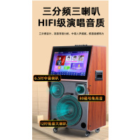 TEMEISHENG 特美声 QX12-67户外广场舞带显示屏音响大功率点歌移动ktv拉杆视频音箱 QX12-67
