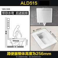 ARROW箭牌家用 陶瓷 蹲便器 水箱套装后大便池 存水弯防臭蹲厕 大冲力水箱 防滑蹲坑套装
