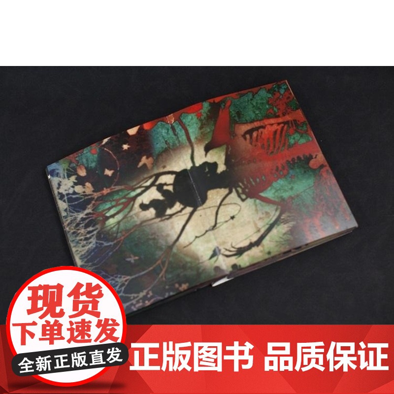 永无岛 马良摄影集上海文化出版社视觉艺术正版图书籍高清大图