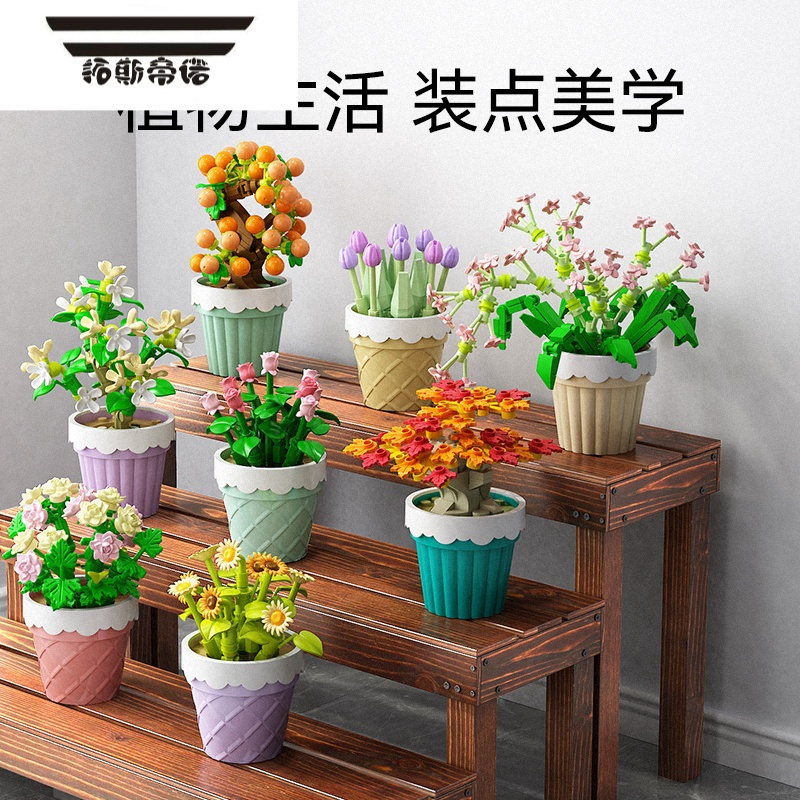 拓斯帝诺[新品]多肉盆栽摆件儿童益智拼装玩具男孩女孩礼物