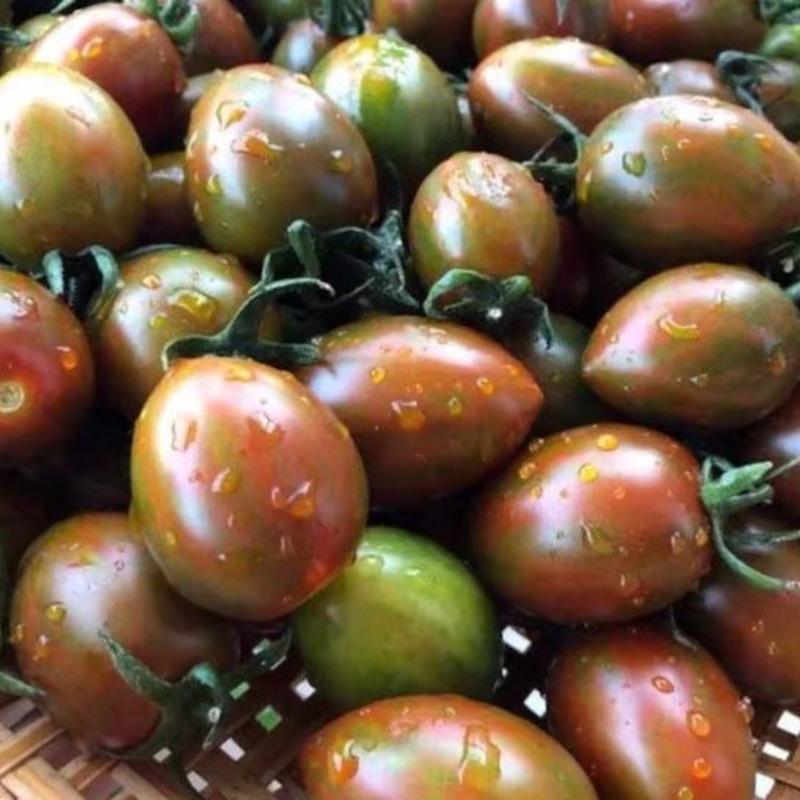 迷彩小番茄柿子小西红柿新鲜蔬菜水果柿子圣女果千禧宝宝水果 2斤